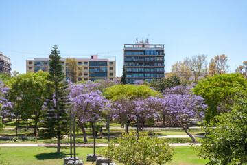 Valencia Turia park garden in Spain city 