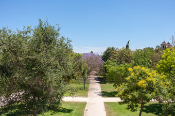 Valencia Turia park garden in Spain city 