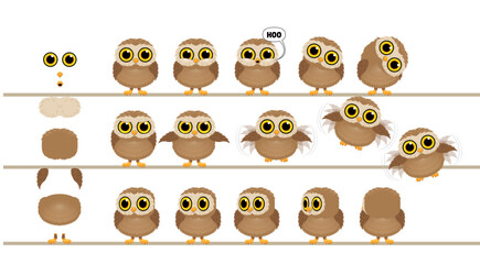 Owl Character Set Cartoon Illustration