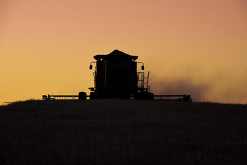 Fototapeta premium Harvester machine, harvesting in the Argentine countryside, Buenos Aires province, Argentina.