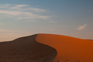 Fototapeta na wymiar Dune landscape, La Pampa , Argentina