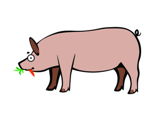 Funny cartoon careless piggy eating carrot