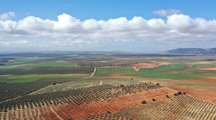 survol de la Reserve Naturelle de la Laguna de Fuente de Piedra en Andalousie entre Séville et...