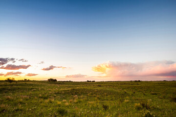Obraz premium Landscape in La Pampa Argentina at sunset, La Pampa province, Patagonia, Argentina.