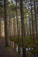 Obraz premium La Plaine 15 Avril 2022