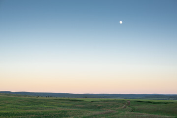 Moon and green field in spring evening (copy space).