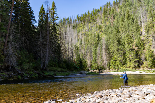 Man wading and fly fishing on the Selway & Lochsa River in the Idaho Selway Bitterroot wilderness.