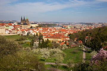 Fototapeta premium Spring Prague City with gothic Castle and the colorful Nature with flowering Trees from the Hill Petrin, Czech Republic