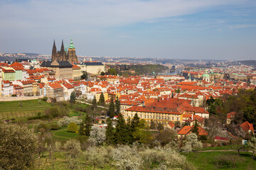 Fototapeta premium Spring Prague City with gothic Castle and the colorful Nature with flowering Trees from the Hill Petrin, Czech Republic