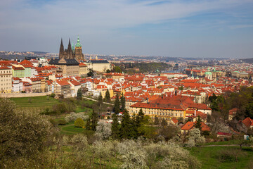 Spring Prague City with gothic Castle and the colorful Nature with flowering Trees from the Hill Petrin, Czech Republic