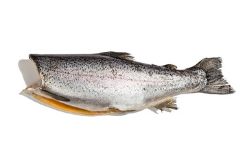 Raw trout carcass isolated on a white background. Sea fish, healthy food, mockup, flat lay