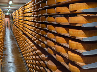 Gruyeres, Switzerland - November 23, 2021: Aging cheese in a cellar of the Maison du Gruyere cheese...