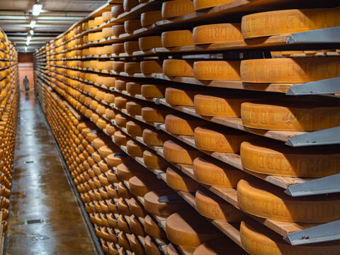 Gruyeres, Switzerland - November 23, 2021: Aging cheese in a cellar of the Maison du Gruyere cheese factory in Switzerland.