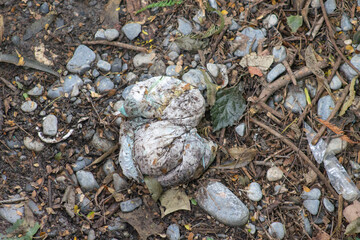 pañales en el suelo, contaminación basura