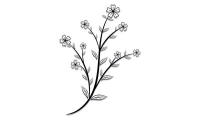 Botanical illustration decorative floral picture on white isolated background