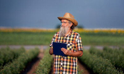 Obraz premium Agriculture. Farmer checking plants in the field and making a notes. Agricultural concept