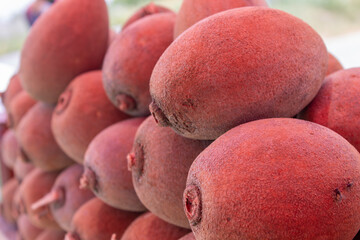 mamey de venta en la carretera