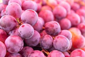 uvas, frutas, morado, nutritivo, saludable, viñero.

