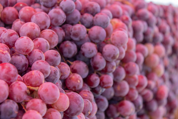 uvas, frutas, morado, nutritivo, saludable, viñero.
