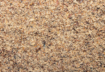 Milk thistle is spotted.Ground dry thistle.Milk thistle of the Asteraceae family.