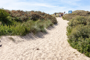 Durch die Dünen an den Strand