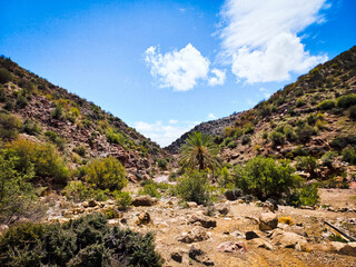 landscape with blue sky