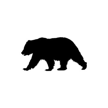 Best Grizzly Bear Silhouette Pictures With White Background