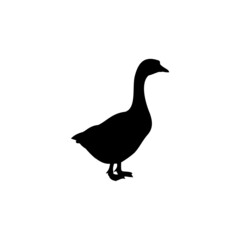 The Best Goose Silhouette Pictures With White Background
