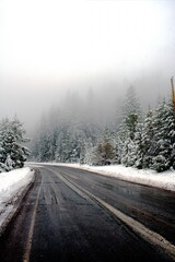 road in winter forest