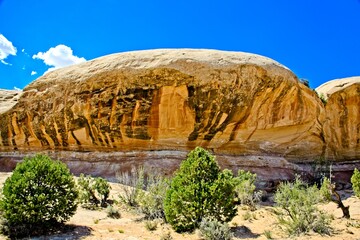Canyonlands National Park in southeastern Utah, a dramatic desert landscape carved by the Colorado...