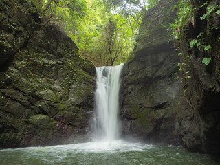 Fototapeta premium 山奥の滝