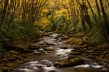 Water Swirling Around Rocks In Straight Fork