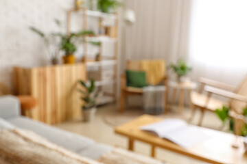 Blurred view of modern living room with stylish shelf unit and houseplants
