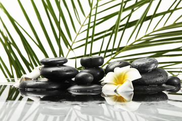 Fototapeta na wymiar Spa stones, tropical branches, flowers and water on white background