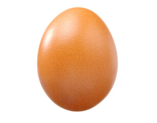 egg on a white background