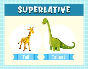 Superlative Adjectives for word tall