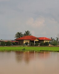 Fototapeta na wymiar house at the paddy field