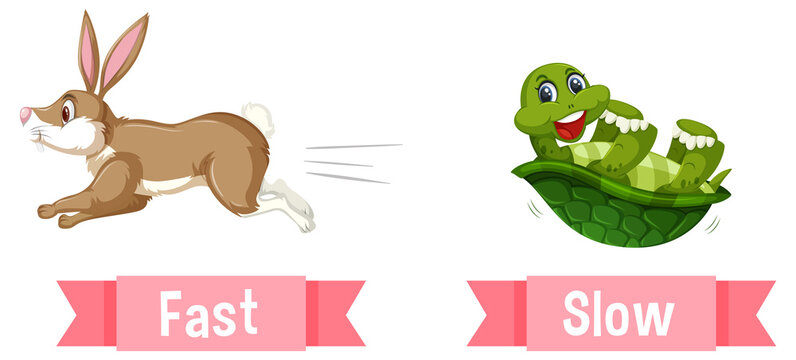 Opposite English Words fast and slow
