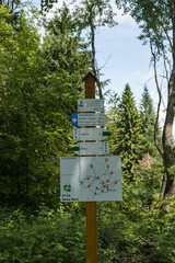 Szlaki górskie Beskid Sądecki, Piwniczna Zdrój