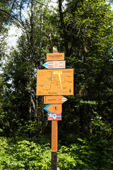 Szlaki górskie Beskid Sądecki, Piwniczna Zdrój - Eliaszówka