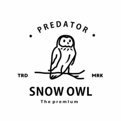 vintage retro hipster owl logo vector outline monoline art icon