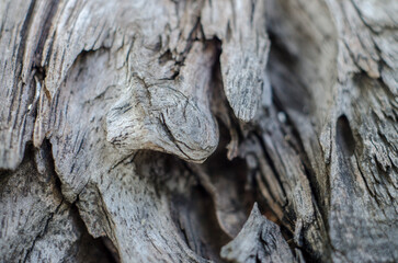 close up of  wood texture
