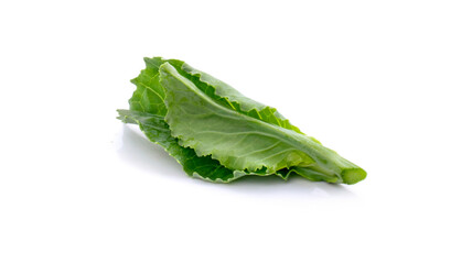 Chinese kale isolated on white background