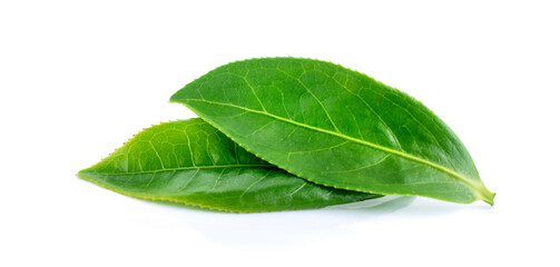 green tea leaf isolated on white background