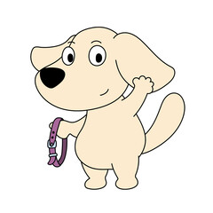 首輪を持つ犬