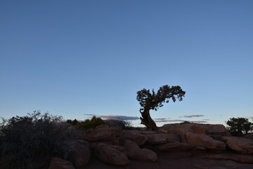 Dead Horse Point State Park, Moab UT
