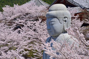 Cherry Buddha Statue at Tsubosaka-dera, Buddhist temple in Nara Prefecture, Japan