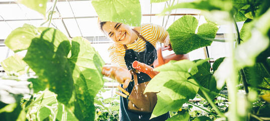Smiling woman watering vegetable plants at the farm greenhouse. .