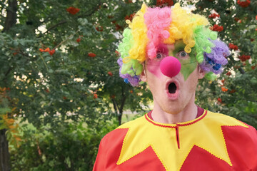 Surprised, funny, colorful clown in a wig makes faces. Happy funny man. Joy, entertainment, celebration concept