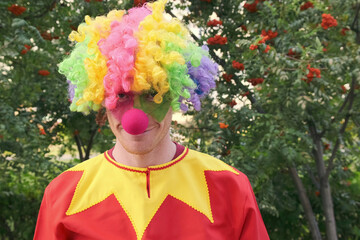 Funny, colorful clown in a wig. Looks into the camera. Cheerful person. Joy, entertainment, holiday...